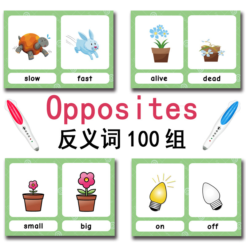 The 100 Groups Opposites Flash - Kids Education Age recension och pris