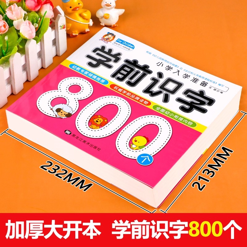 Preschool Literacy: 800 Chines - Kids Education Age recension och pris