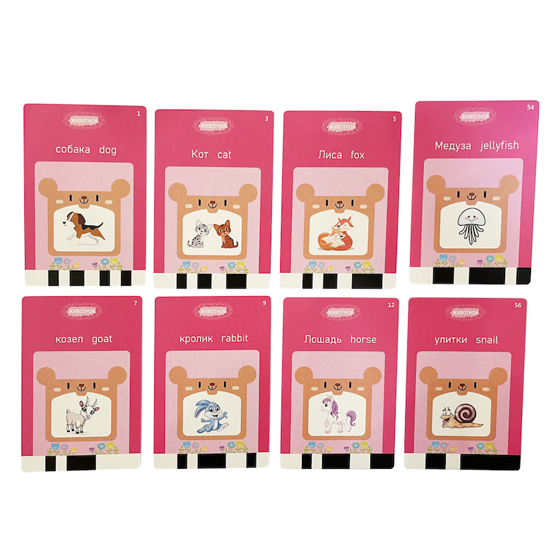 Russian English Taking Flash C - Flash Card Alphabet recension och pris