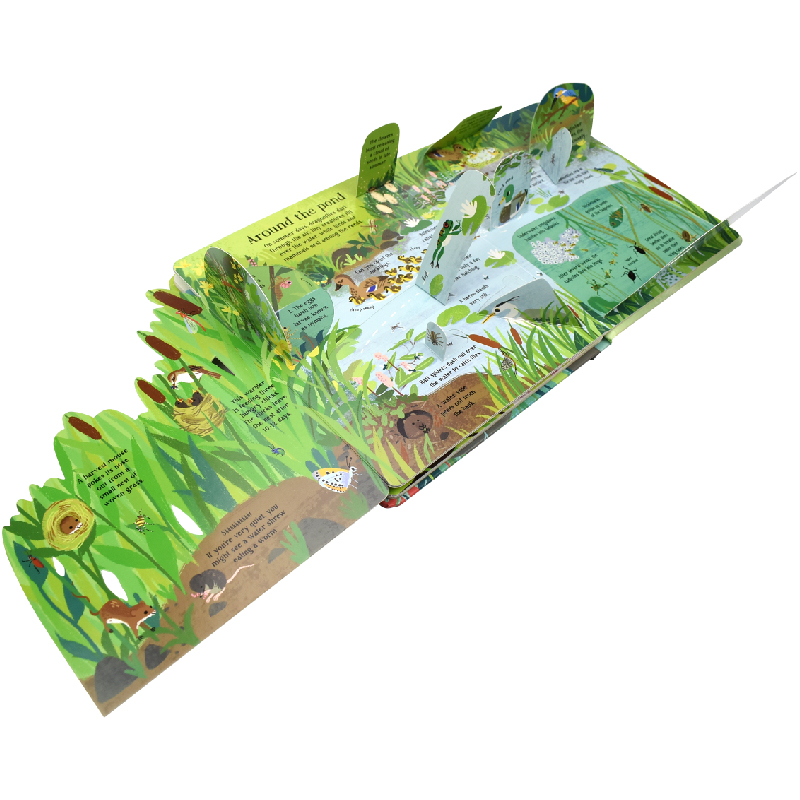 English Montessori 3D Usborne  - Kids Education Age recension och pris