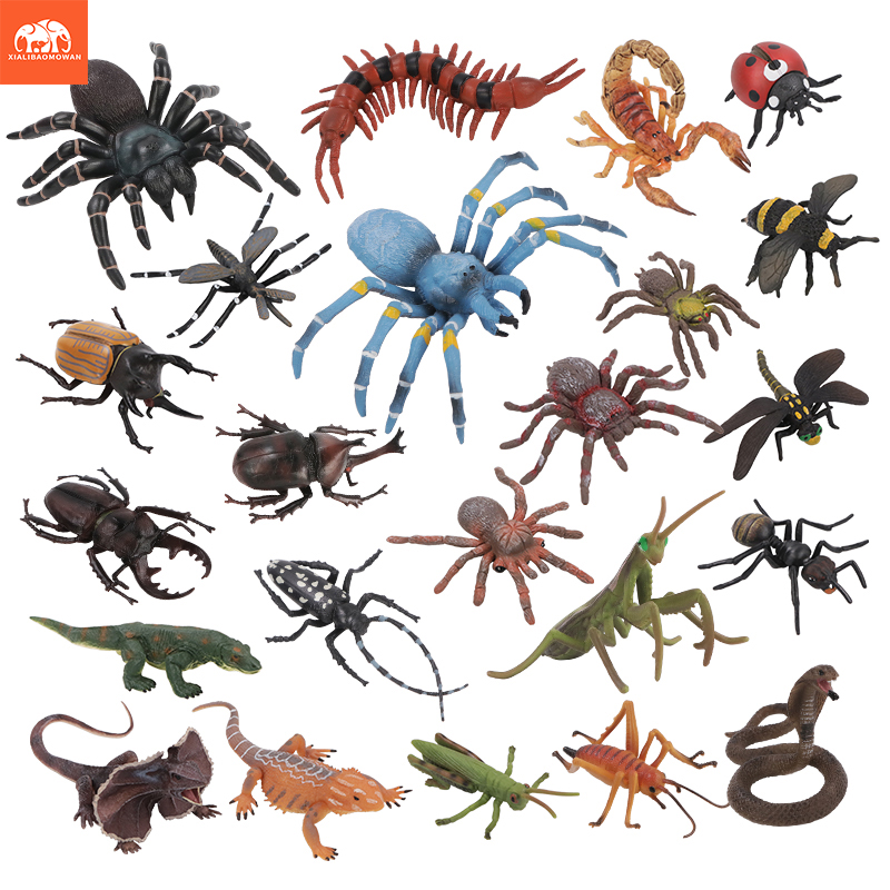 Educational Simulation Insect  - Kids Education Learn Tv recension och pris