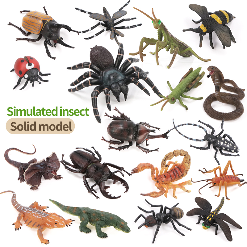 Educational Simulation Insect  - Kids Education Learn Tv recension och pris